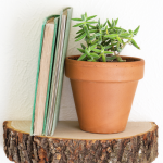 tree-stump-wood-slice-shelf